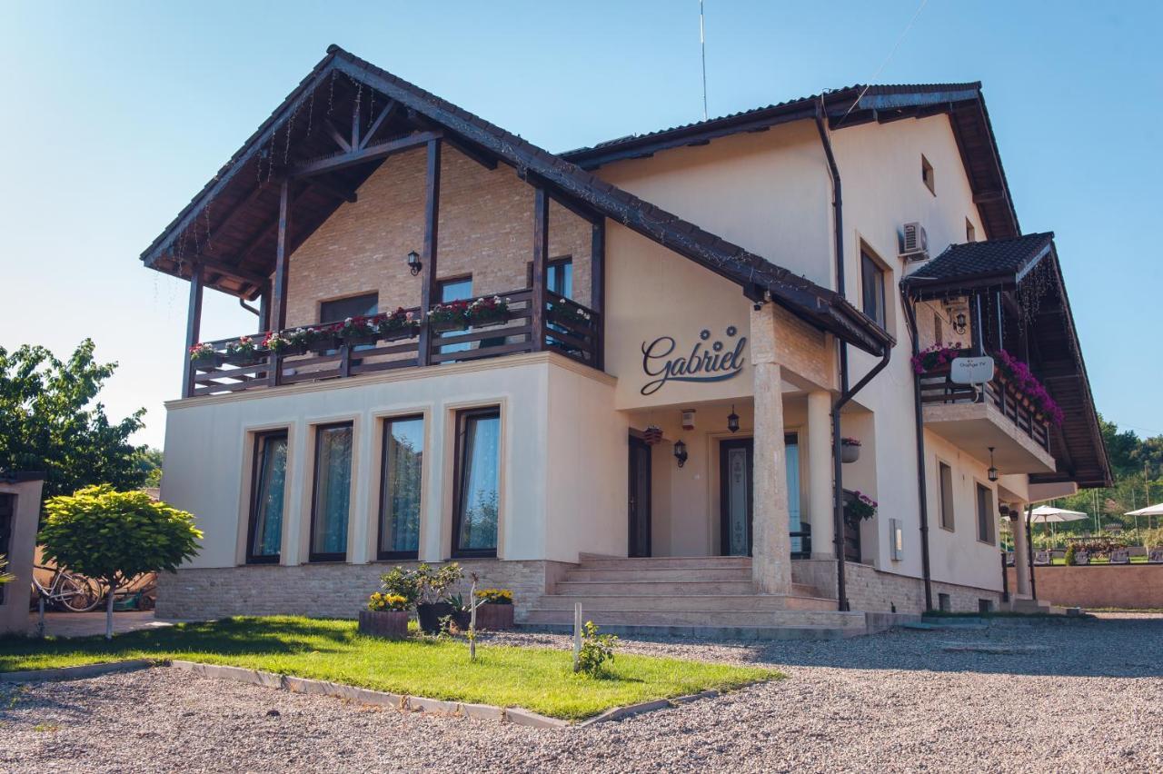 Pensiunea Gabriel Corcova Exteriér fotografie
